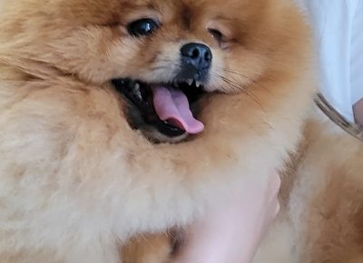 viberimage202207042205455741657114902