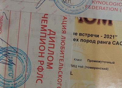 viberimage202207042209244941657114902