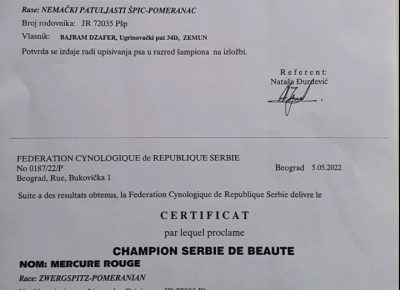 viberimage202207042210162631657114902