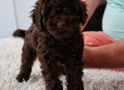 viberimage202207051012023061657201040