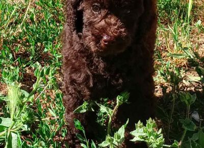 viberimage202207051012121961657201040