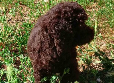 viberimage202207051012238331657201041