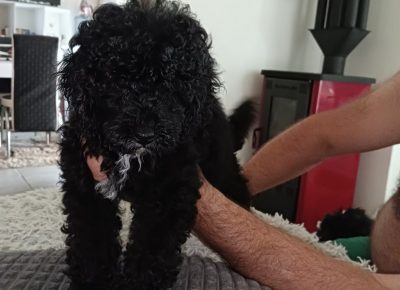 viberimage202207051013208731657201040