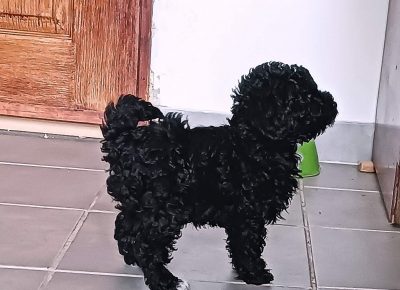 viberimage202207051013269411657201040