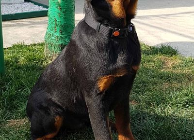 viberimage202207060838111821657182044