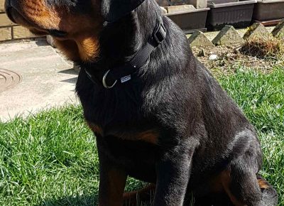 viberimage202207060838118531657182045