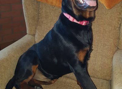 viberimage202207060839208011657182047