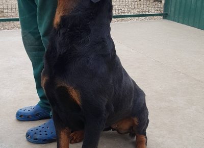 viberimage202207060844173431657182045