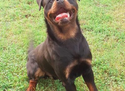 viberimage202207060845309131657182045