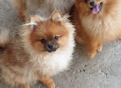 viberimage202207111207570371657635431