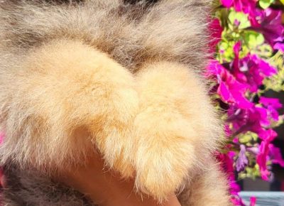 viberimage202207121403032051657709517