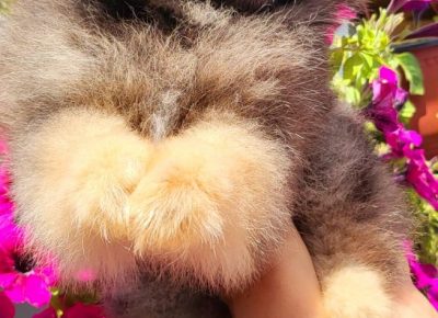 viberimage202207121403311041657709518