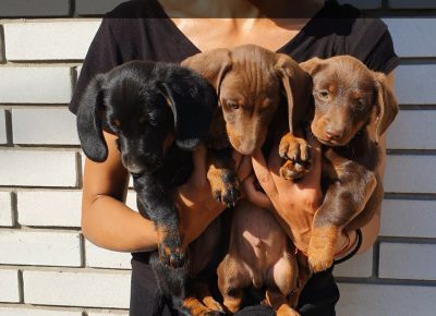 viberimage202207151728402691657977803