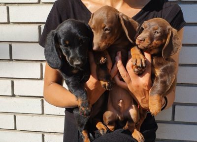 viberimage202207151728403931657977804