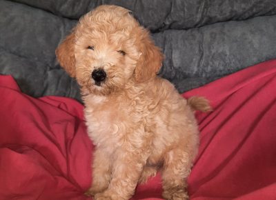 viberimage202207241735066471658738667