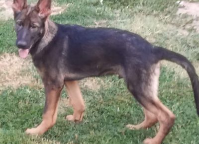 viberimage202207251121466121658823799