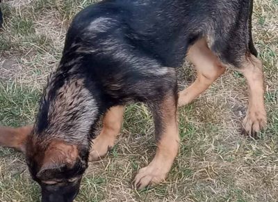 viberimage202207251121467401658823799