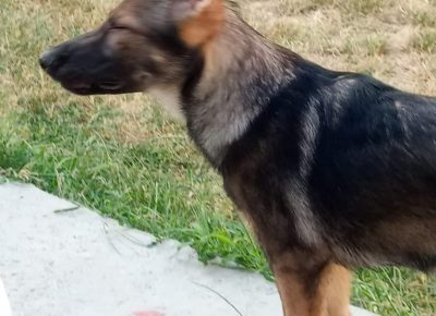 viberimage202207251121469191658823799