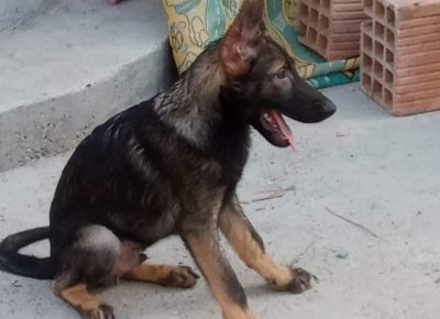 viberimage202207251121469631658823800