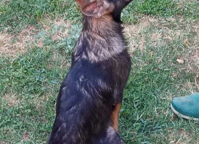 viberimage202207251121470031658823801