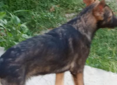 viberimage202207251121470871658823799