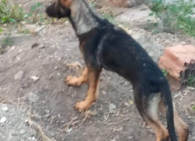 viberimage202207251121471711658823800