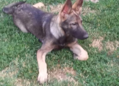 viberimage202207251121472591658823800