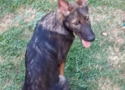 viberimage202207251121480771658823800