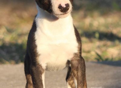 viberimage202207251317161921658851341