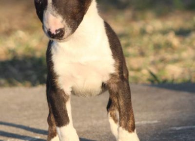 viberimage202207251317406381658851343