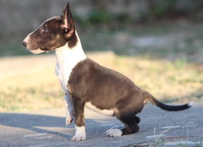 viberimage202207251320177191658851343