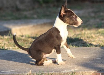 viberimage202207251320404031658851342