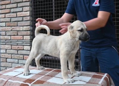 29652649158350966932013091914344141603623148n1659344192