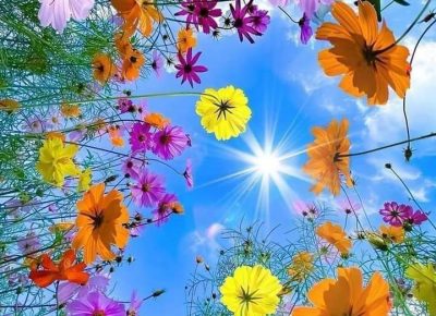 IMG081d749a03a03976adff4c671ca8b625V1660320024