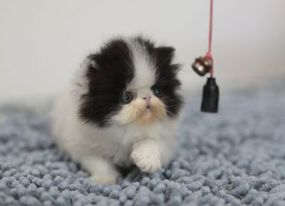 IMG202006221432021660303335