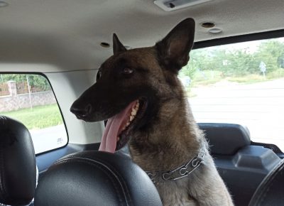 Screenshot20220813092604346com.miui.gallery1660414935