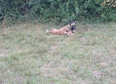 Screenshot20220813092613210com.miui.gallery1660414954