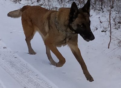 Screenshot20220813092622977com.miui.gallery1660414950