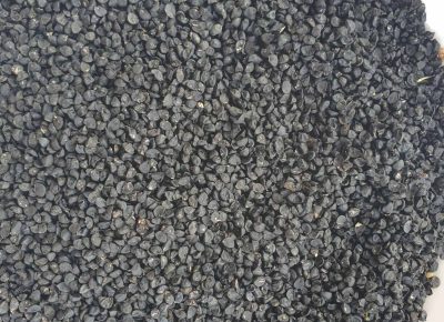 aiberimage202207301620202371659389828