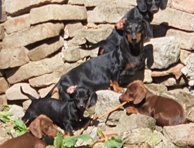 aiberimage202208071451431851659982090