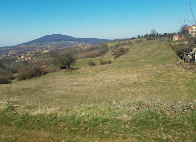 frontplaca17621659418247