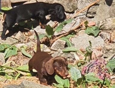 viberimage202208071451052841659982092