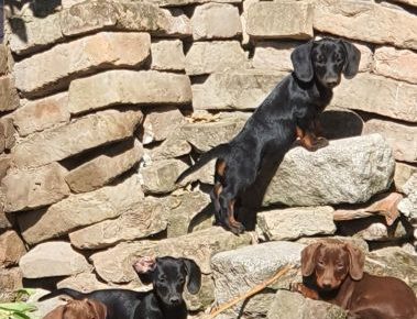 viberimage202208071451053921659982092