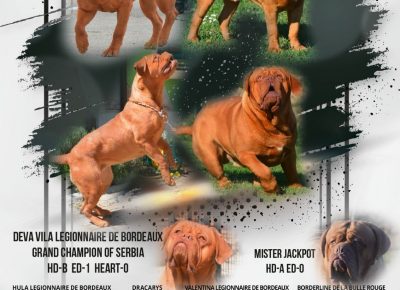 viberimage202208110813023611660330170