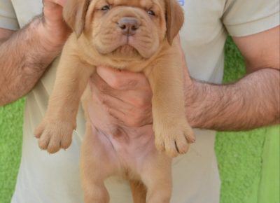 viberimage202208110814131131660330169