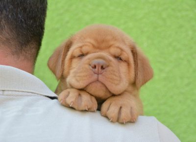 viberimage202208110814132961660330169