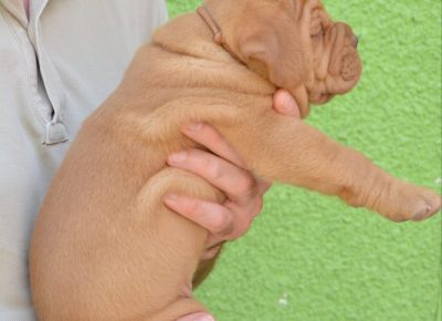 viberimage202208110814134931660330170