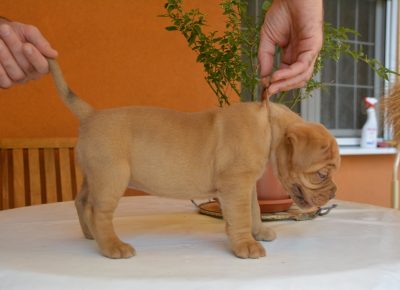 viberimage202208110814333481660330169