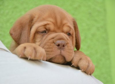 viberimage202208110815069411660330169