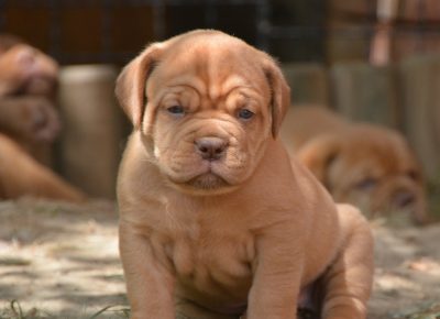 viberimage202208111220283241660330170